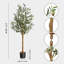 Olive artificielle en fausse soie-111312742-111312741
