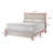 Contemporary Panel Bed-1646423107