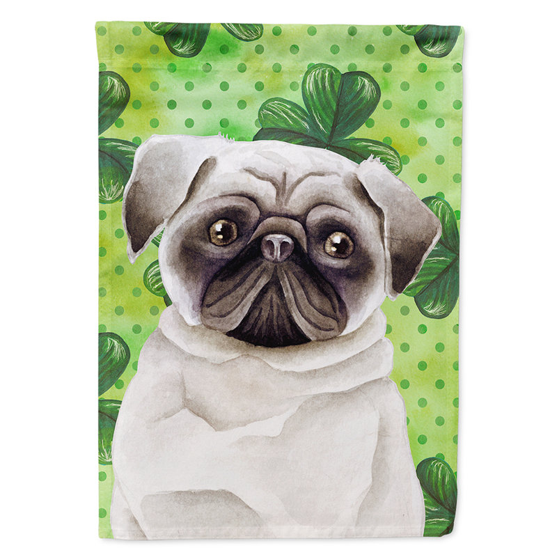 40 x 28 po en polyester à 2 côtés de la st patrick drapeau maison, Carlin blanc