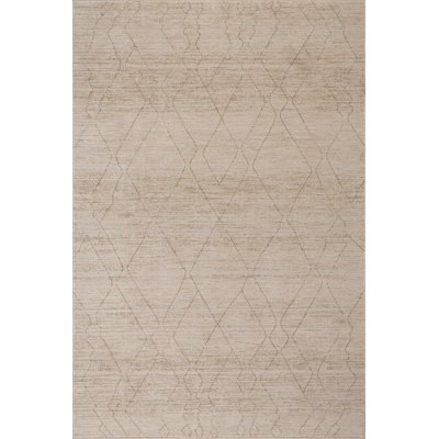 Calissa Southwestern Trellis Rug