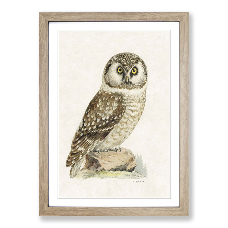 Boreal Owl by Von Wright - Picture Frame Painting Print on MDF, 65cm H x 48cm W x 2cm D, Oak Framed