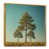 Gold Floater Framed selected