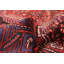 Tapis noir Anadol 4 pi 11 po x 8 pi 7 po
