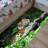 Charming Traditional Floral Printed Rug with High Pile Soft Texture Ideal for a Sophisticated Interior Design Theme-1165700890