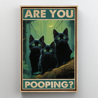 Iovan " Black Cats Are You Pooping "