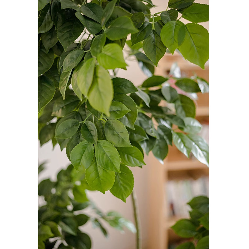 Simulation de plante verte Happiness Tree Living Room