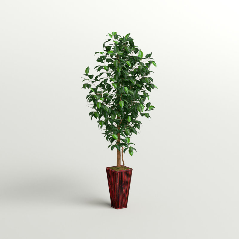 Ficus artificiel 60 po en pot