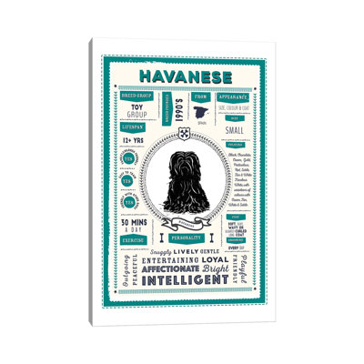 " Havanese Infographic Blue " by PaperPaintPixels