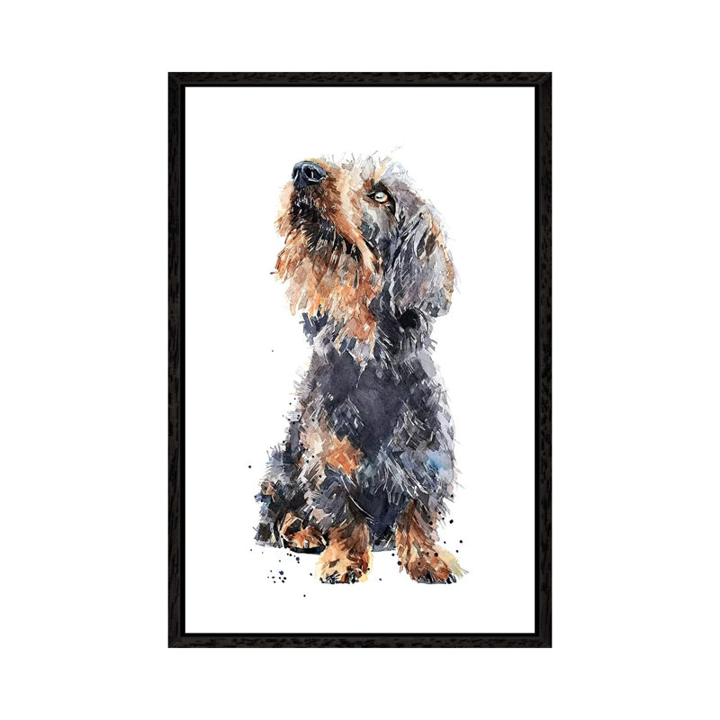 Wirehaired Dachshund II - Painting on Canvas, Black Framed, 66.04 cm H x 45.72 cm W