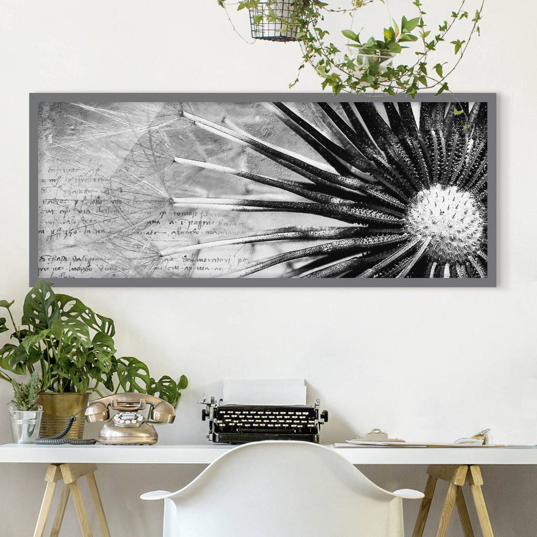 Gerahmtes Poster Dandelion Black & White