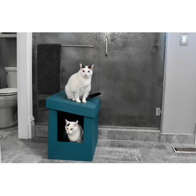 Sloped Standard Litter Box
