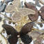 LUSTRE PS1301 MURANO SPUTNIK-1838480818-1838480819-1838480821