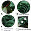 «Realistic Green Roses Bloom», impressions sur toile roses-160837287-160837211