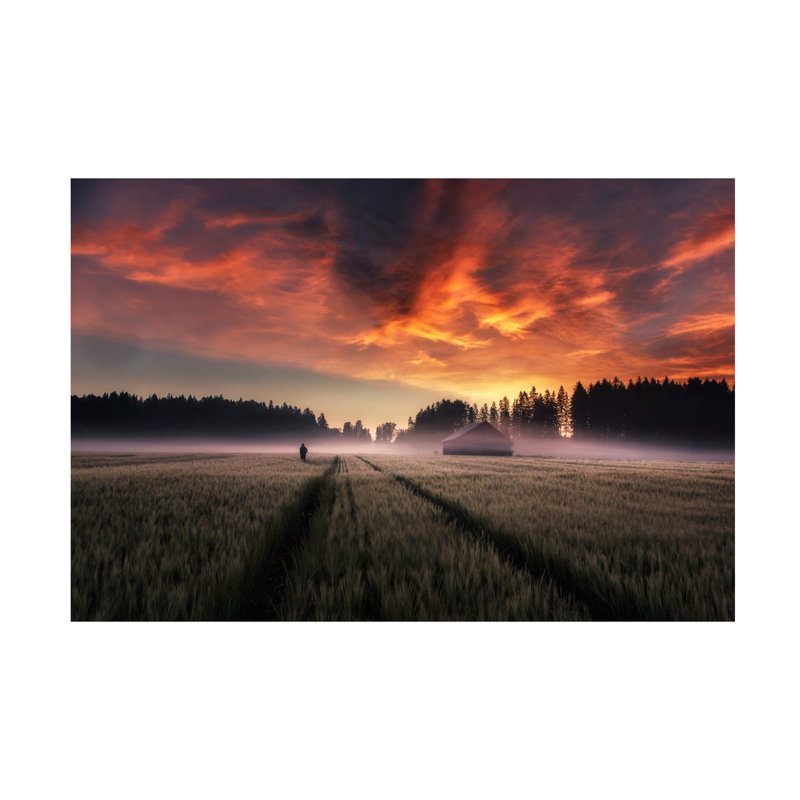 Art sur toile Mika Suutari New Dawn, H 12 po x l 19 po