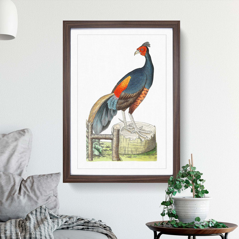 Fire-Backed Pheasant by George Shaw - Framed Print, 48cm H x 36cm W x 2cm D, Walnut Framed