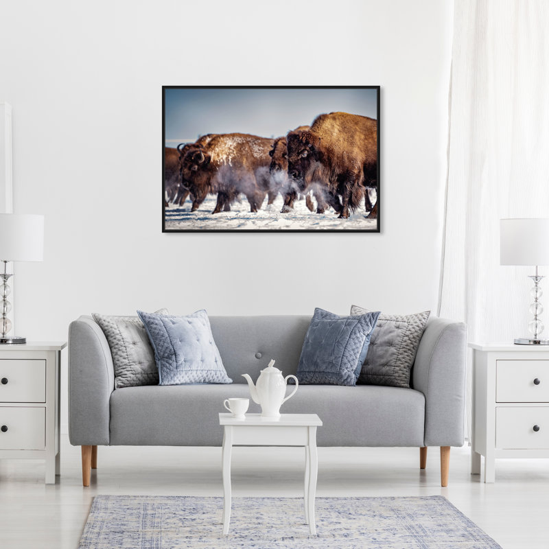 Buffalo Herd In A Snow Landscape Print, Black Framed, 21" H x 31" W