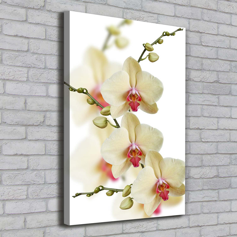 Orchid - Wrapped Canvas Print