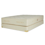 Premier Natural 11.5'' Plush Latex Mattress and Box Spring Set