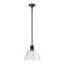 Luminaire suspendu 12 "DEL 3CCT-1116890944