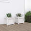 Ander Planter-1011546374-1011546375