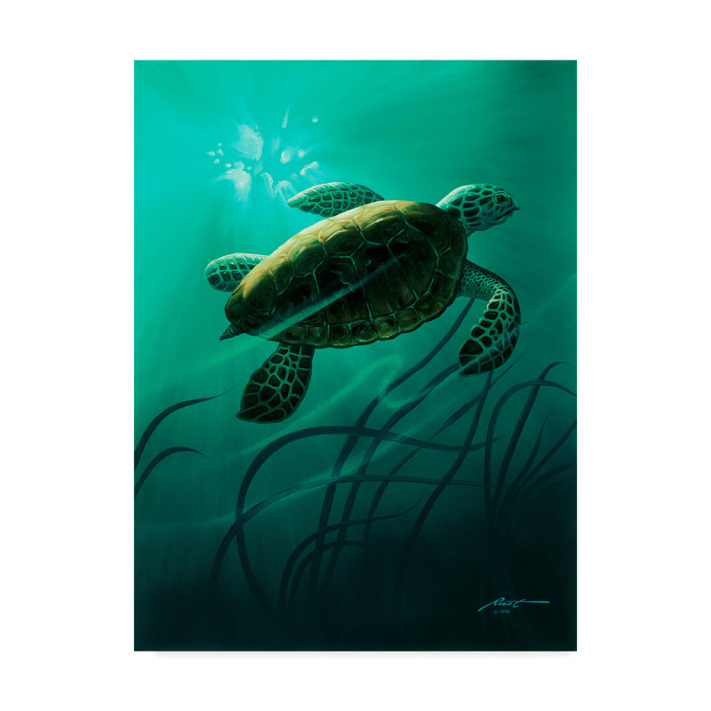 Green Sea Turtle Canvas Art in Blue and Green