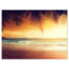 «Palm Leaves on Caribbean Seashore», impression-35061656-35061654
