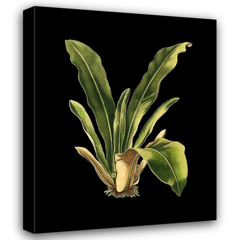 Art graphique sur toile tendue par Bay Isle Home ™ Vision Studio, titré: Feuilles vertes personnalisées sur fond noir III (LG)