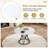Modern Industrial Dining Set with Ergonomic Chairs