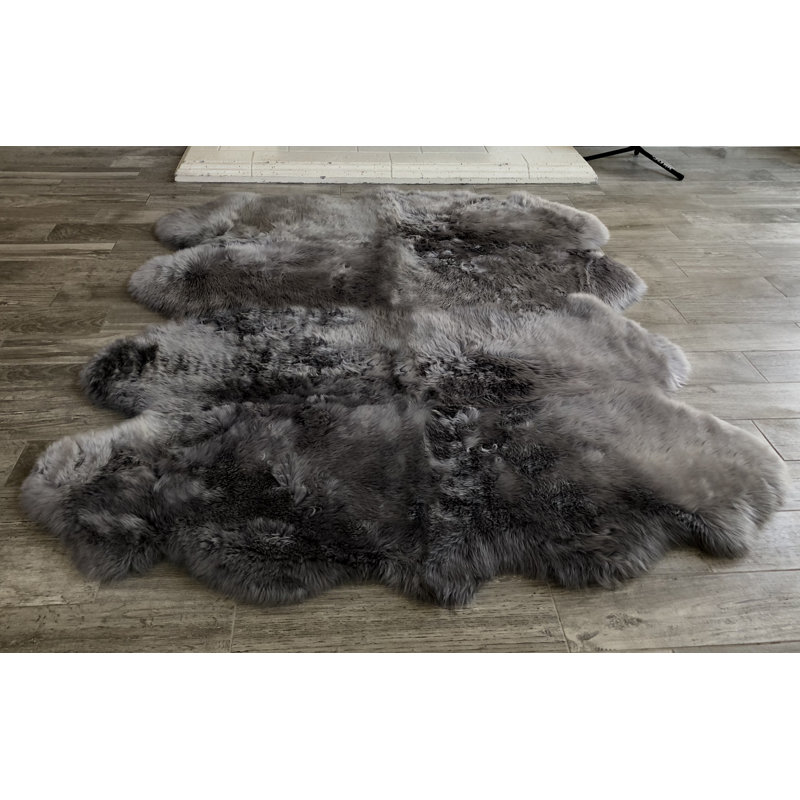 Tapis Novelty Borge, Nouveauté 5 pi 6 po x 6 pi 6 po