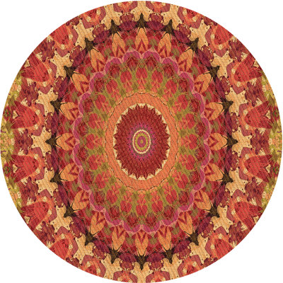 Performance Wool Abstract Indoor Rug