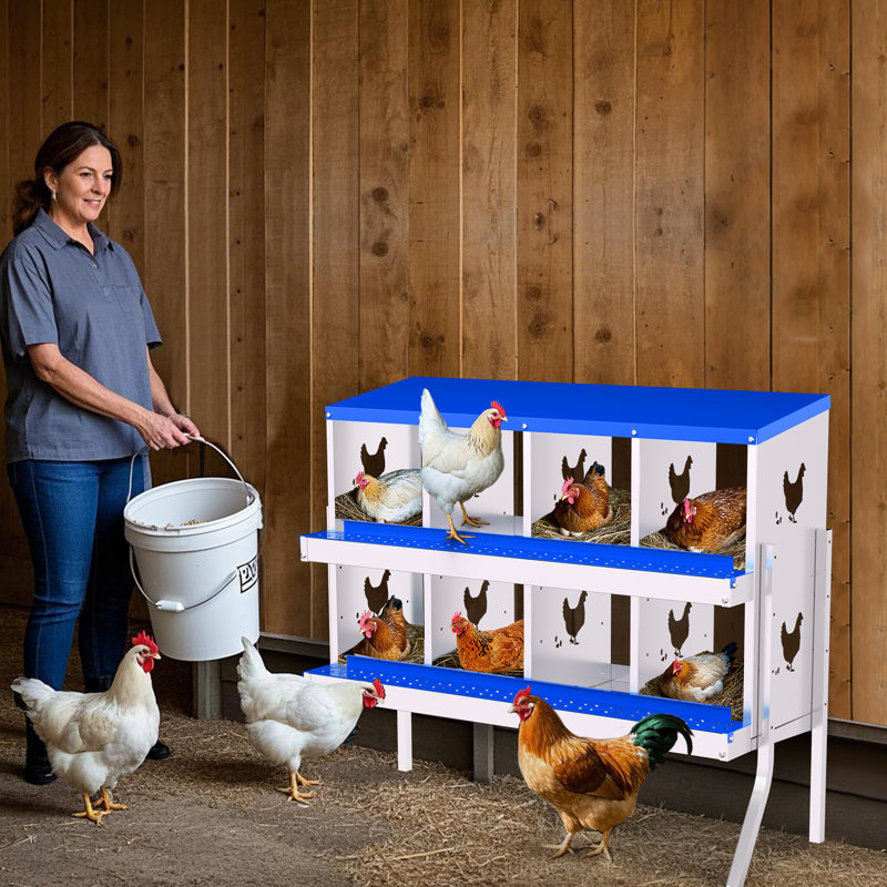 Boîte de nidification en métal pour poules pondeuses, H 35,24 po x l 42,52 po x P 16,93 po, Bleu