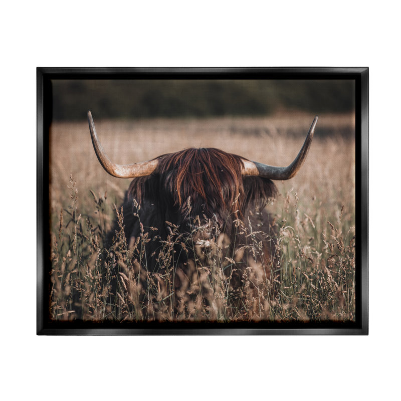 Art mural sur toile flottant Union Highland, Cadre flottant noir de jais, H 17 po x l 21 po x P 1,7 po