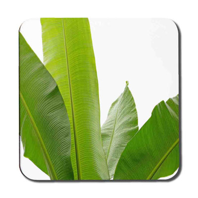 Malayah Square 6 Piece Coaster Set