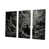 Toile tendue