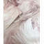 Altoona 32.97cm x 20.87cm Matte Roll-818789763