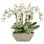 ORCHID SUCCULENT IN PLANTER