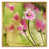 Toile avec cadre flottant or
