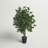 4' Artificial Ficus Bush, Black Plastic Pot
