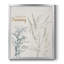 «Keep on Dreaming», toile encadrée de qualité supérieure - prête à être accrochée-276593806-276593807