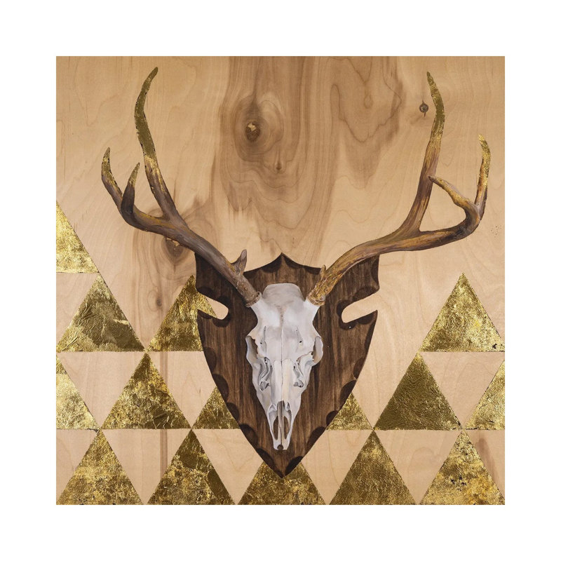 Buck Skull by Andrea Fairservice - Wrapped Canvas Print, 30.48cm H x 30.48cm W x 1.91cm D