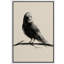 Oiseau gris, peinture à l'encre-102453602-102453605