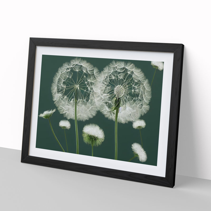 Blooming Dandelion Flowers - Framed Print, 34cm H x 46cm W x 2cm D, Black