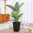 Adcock Artificial 55in Palm Tree in Black Pot, UV Resistant Faux Green Areca Palm Plant for Home Indoor Outdoor Decor-693050573