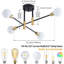 Avera Semi Flush Mount
