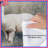 Two Llamas In Field Comforter-126736991