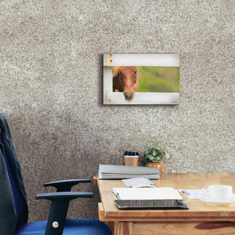 «Horse at Fence» par Lori Deiter, art mural sur toile, H 12 po x l 18 po x P 0,75 po