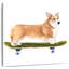 Brampt chiots sur roues I-109227290