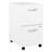Kaneki 16'' Wide 2 -Drawer Mobile File Cabinet-68836083