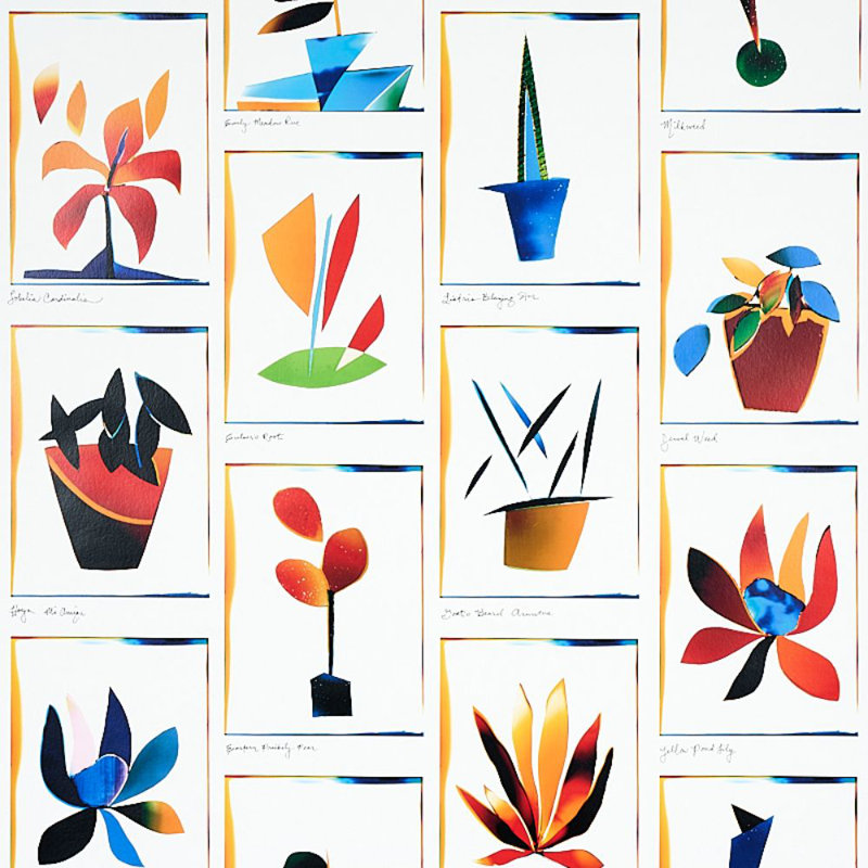 Papier peint Schumacher x Peg Norriss Botanicals, Spectre