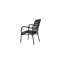 Rizal Loungechair Alumnium - Black /